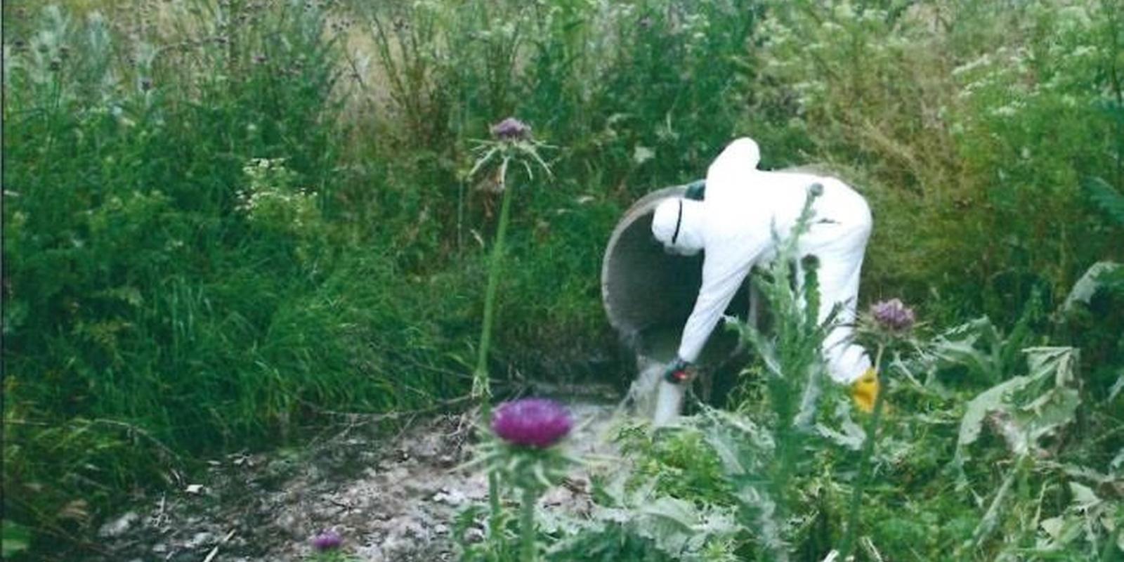 El Seprona encuentra coronavirus en un vertido ilegal de aguas residuales al río Manzanares en Getafe