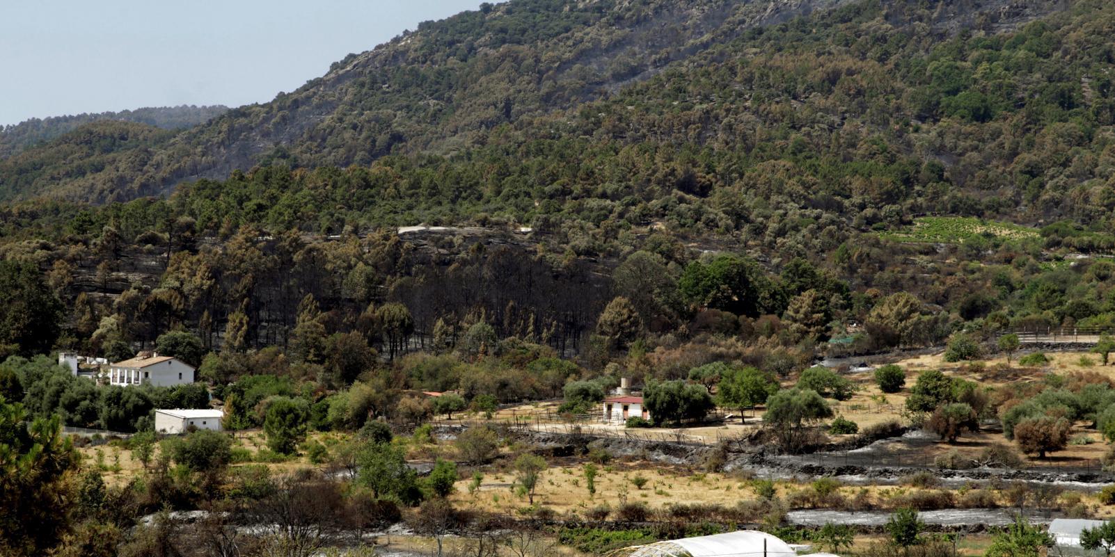 Comienzan a restaurarse terrenos particulares afectados por incendio de Cadalso