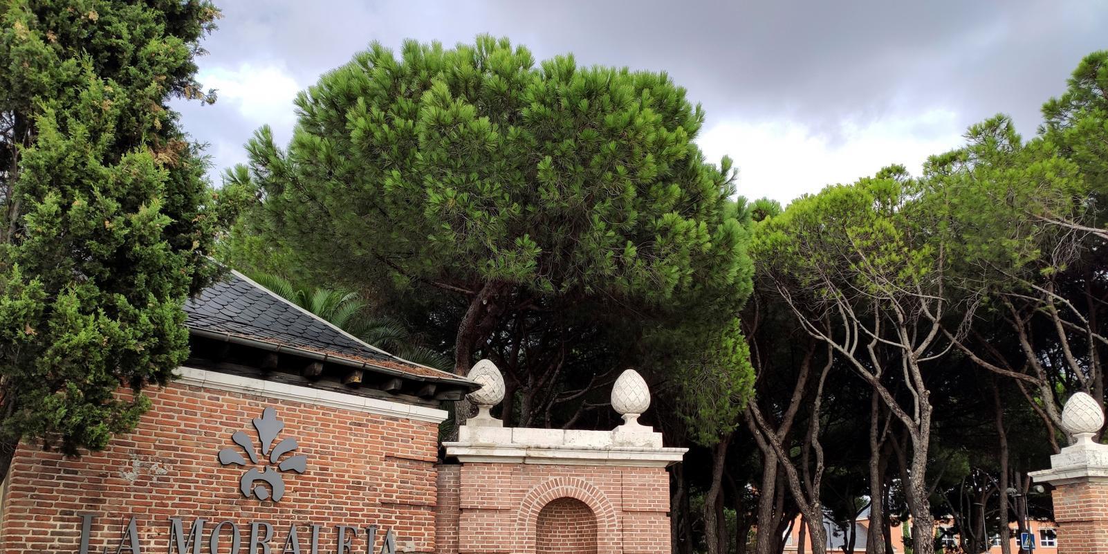 La Moraleja se mantiene como el barrio de mayor renta de España