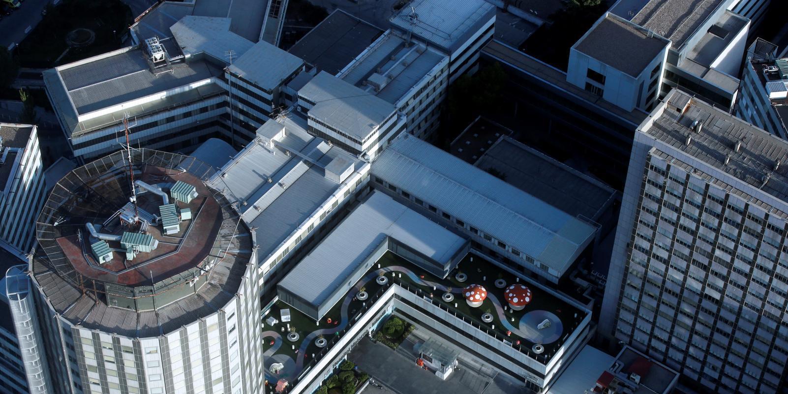 Los suplementos de vitamina C refuerzan el sistema inmunológico en mayores