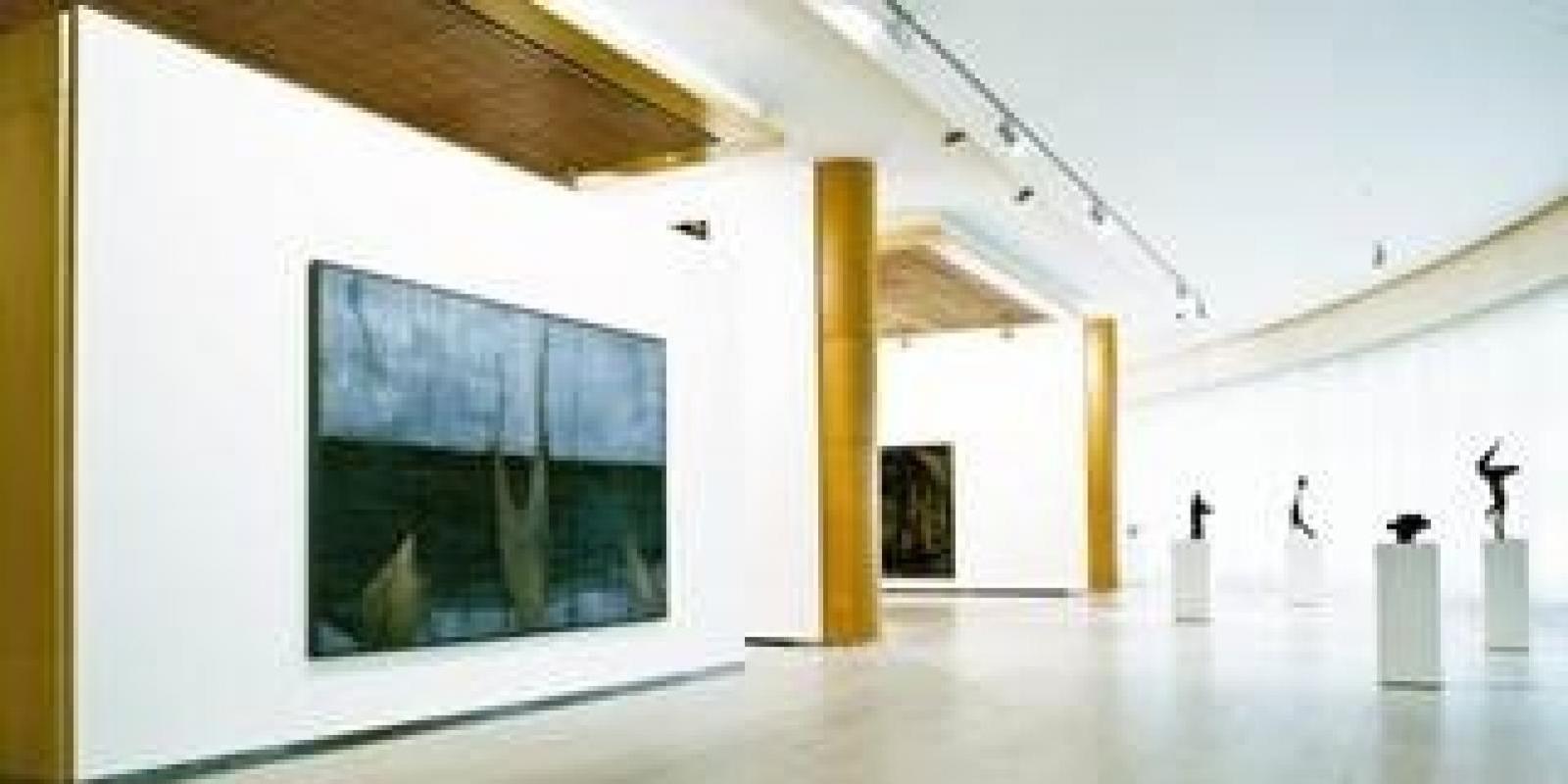 Cultura y medioambiente en el año más social de la Fundación Banco Santander