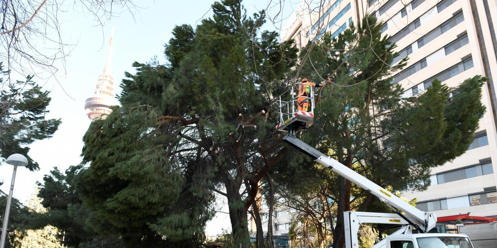 Los bomberos realizan 58 intervenciones por el fuerte viento en Madrid