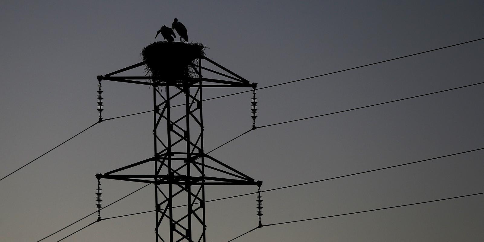 Algete pide solución ante los "continuos microcortes" en el suministro eléctrico