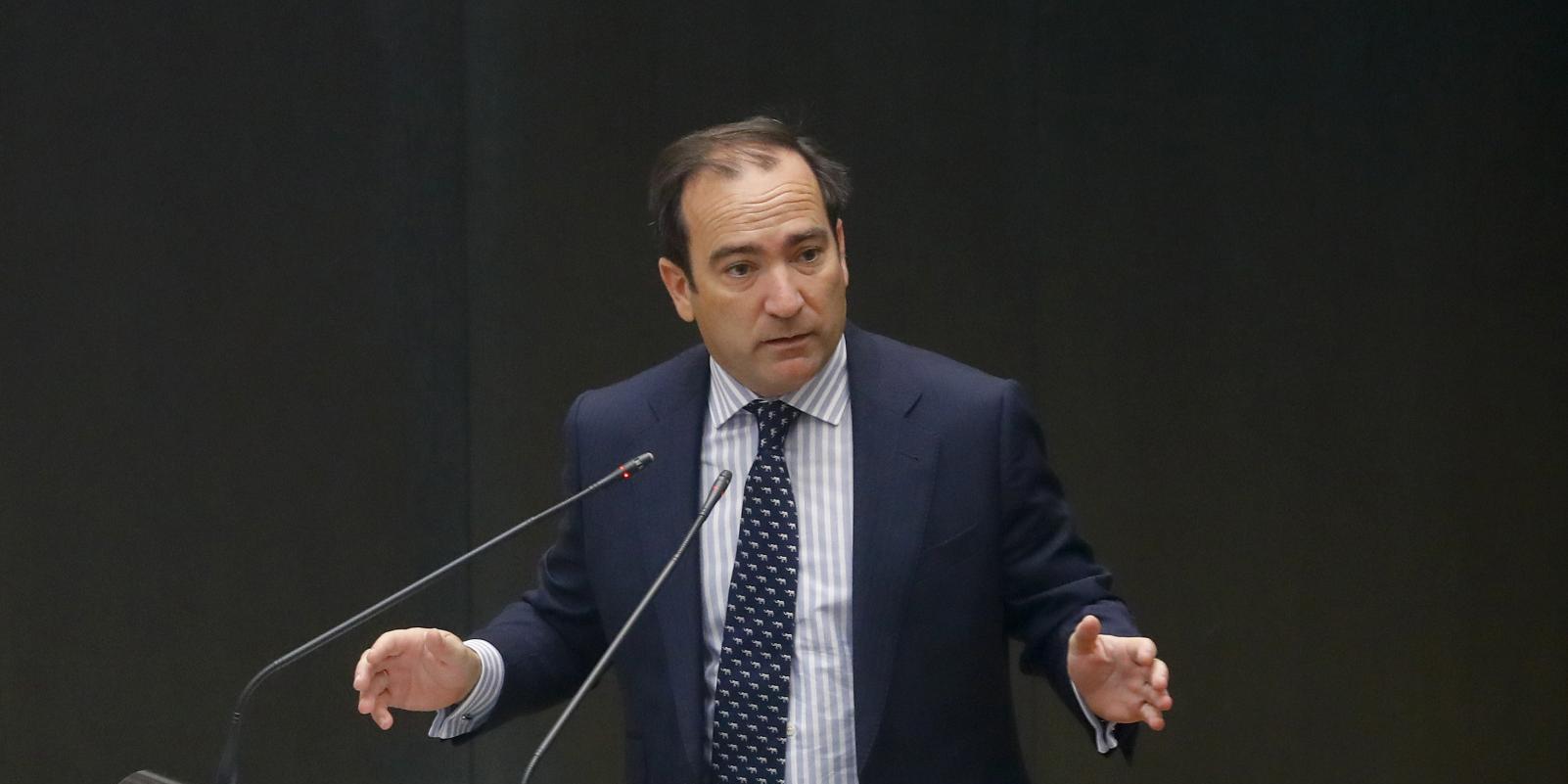 Cibeles apoyará la creación de un consejo asesor sobre el arbolado municipal