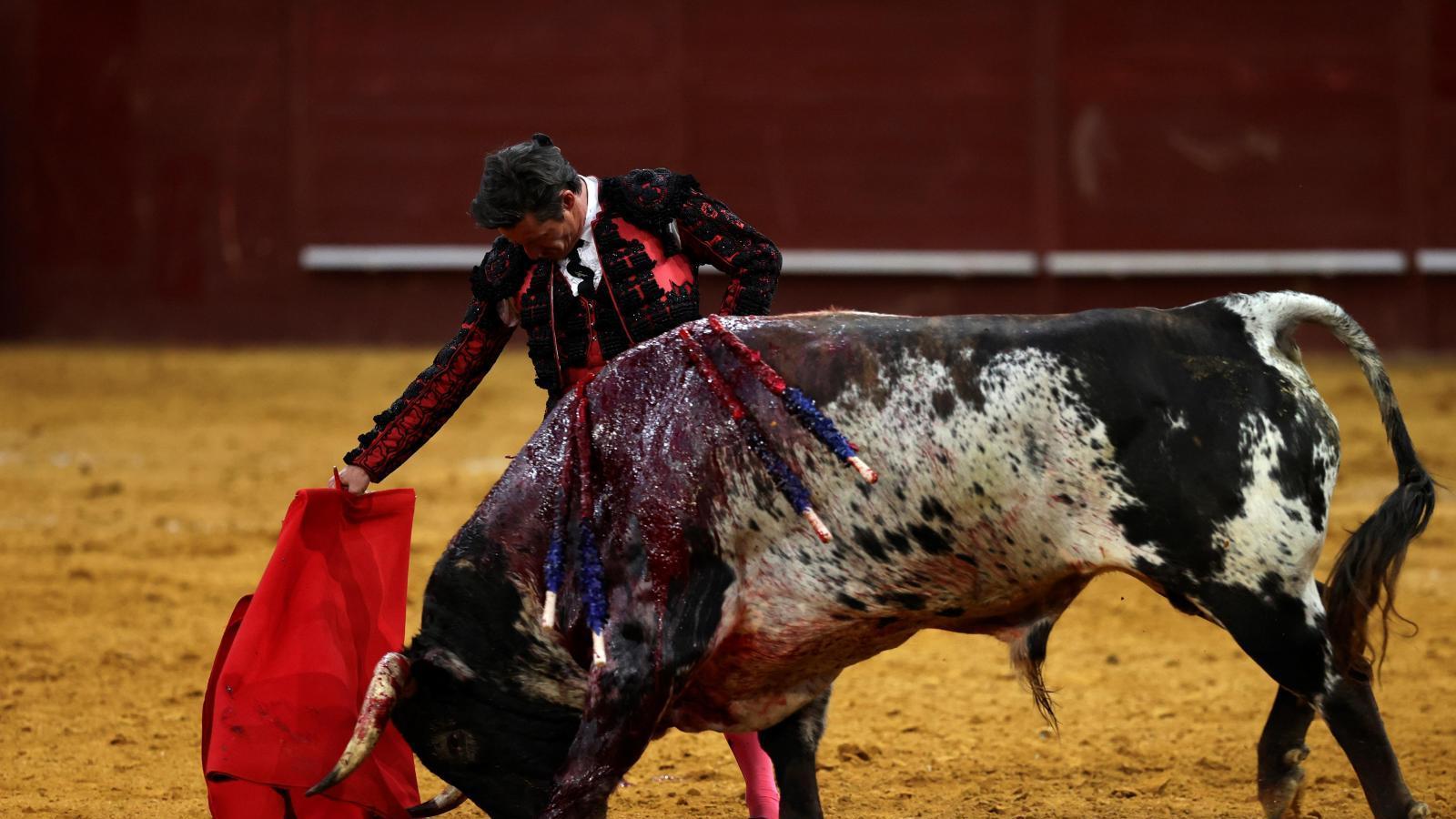 Diego Urdiales marca las diferencias con la calidad del toreo más puro