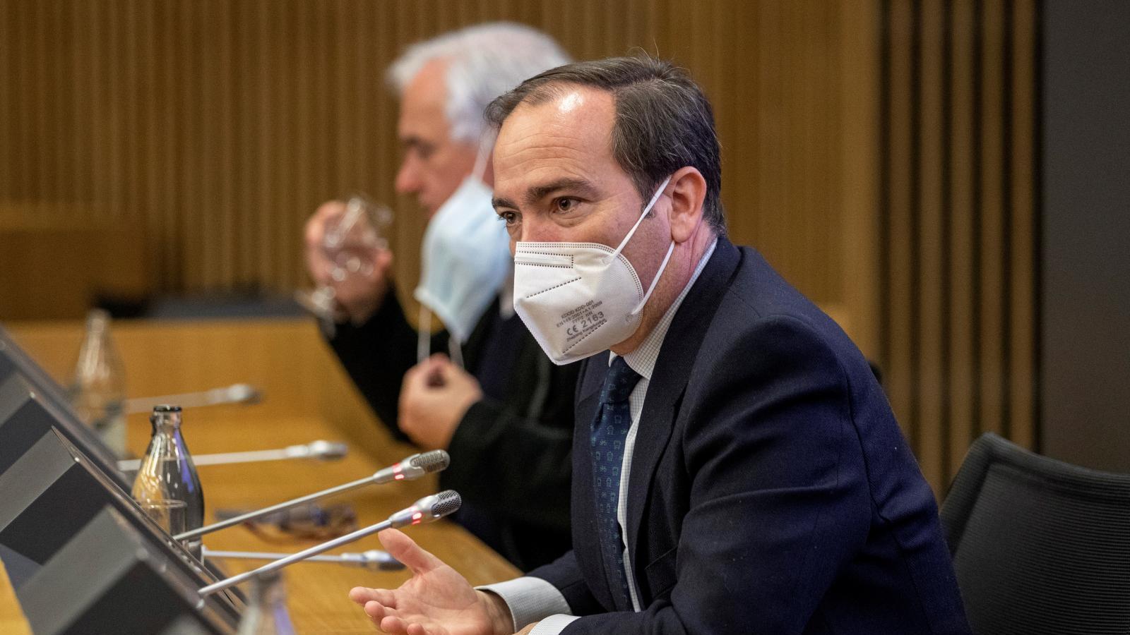 El Consejo del Arbolado de Madrid apuesta por seleccionar especies y blindar los corredores verdes