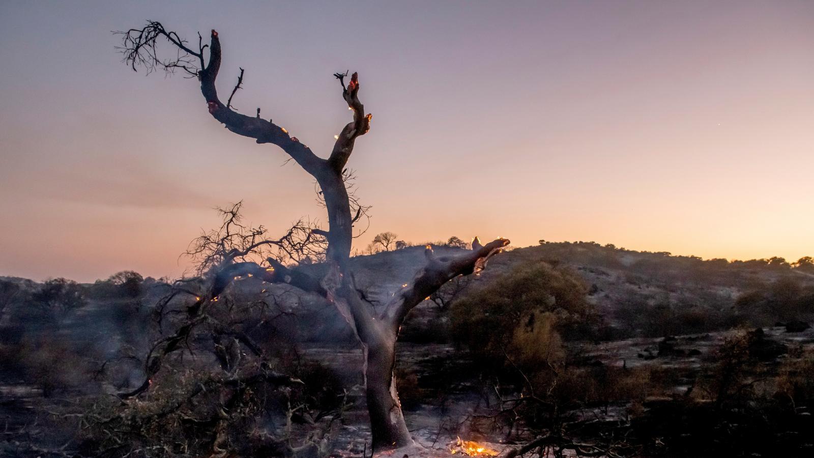 Los incendios forestales en España suben un 27% del 1 enero al 25 de julio respecto a 2020