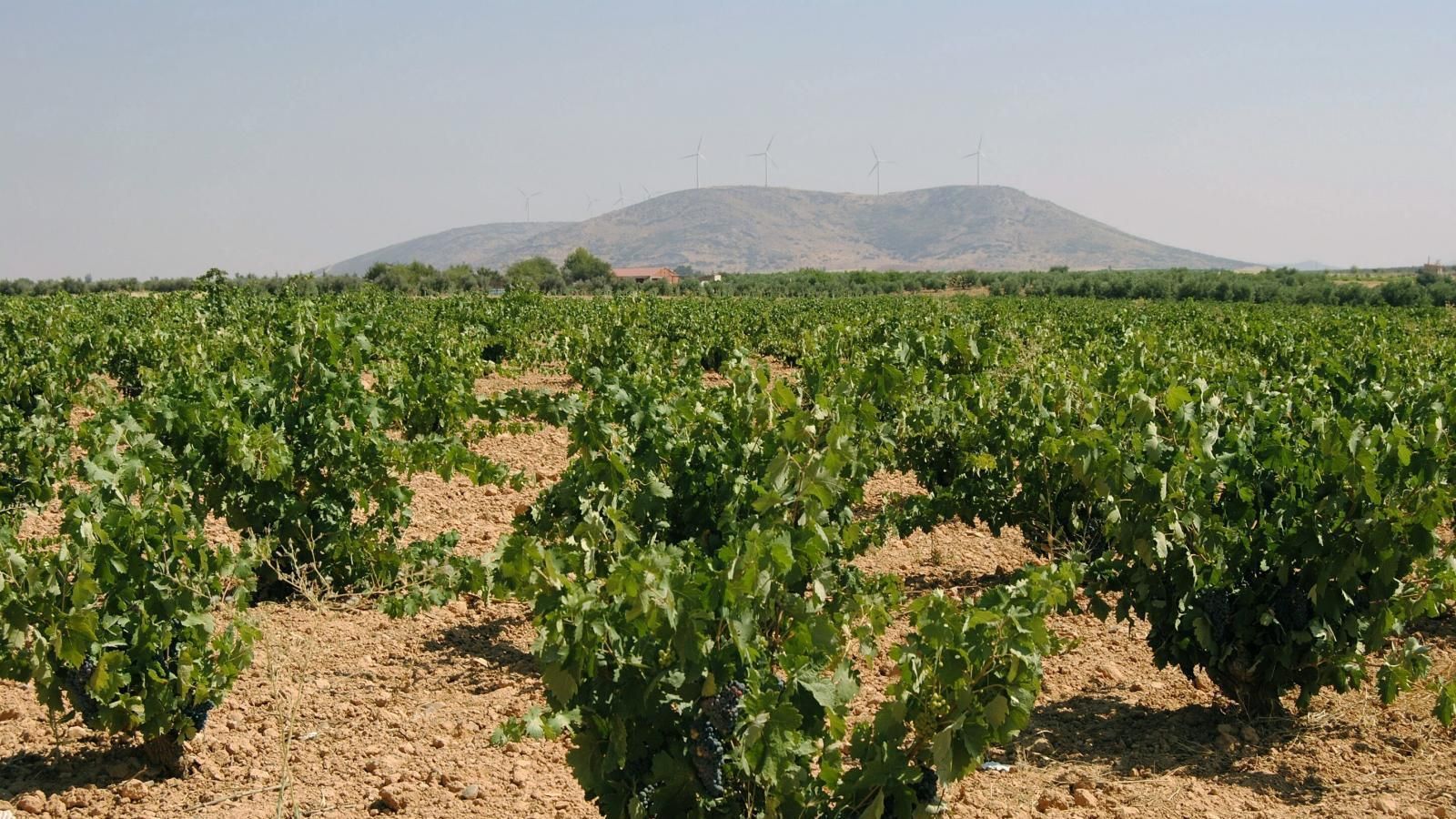 Repuntan los robos en el campo tras bajar un 41 % en años anteriores