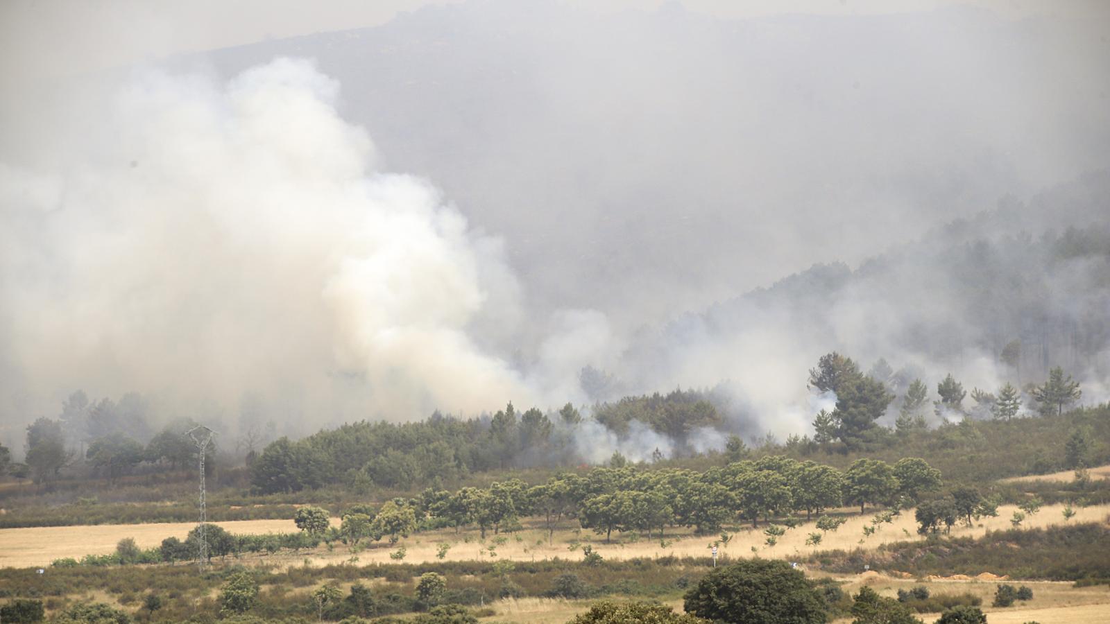 Madrid envía una treintena de efectivos para ayudar en el incendio de Zamora