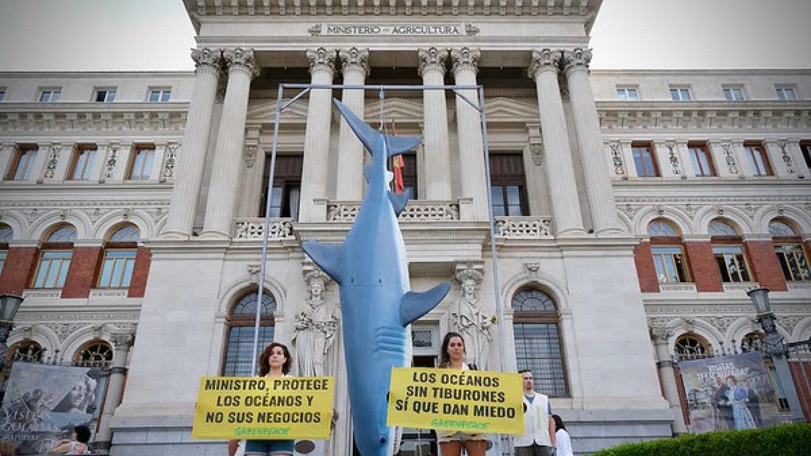 Greenpeace "cuelga" un tiburón en Madrid y denuncia la pesca ilegal que sufre