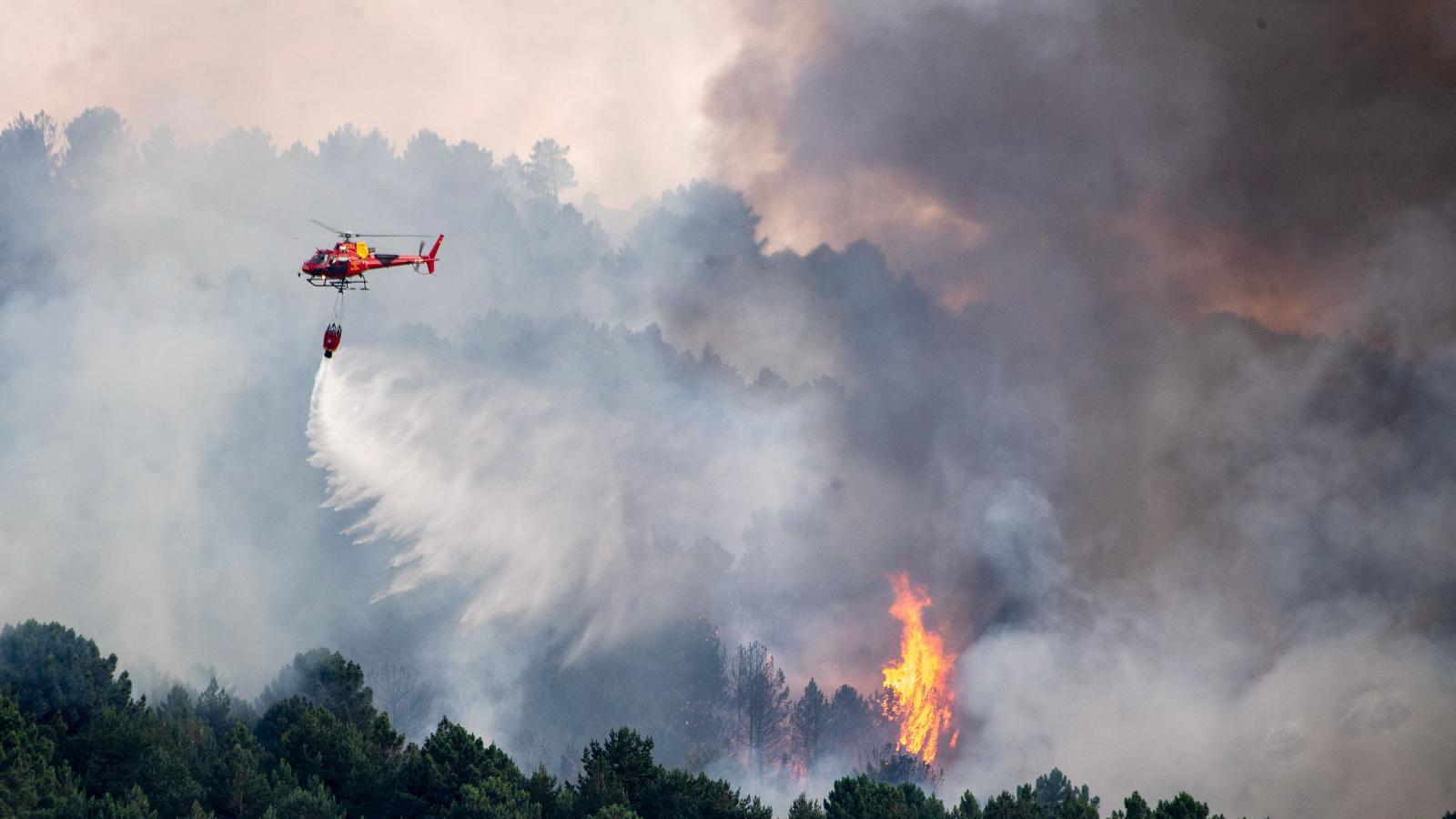 El fuego arrasa más 250.000 hectáreas en España en 2022, el peor de la década con diferencia