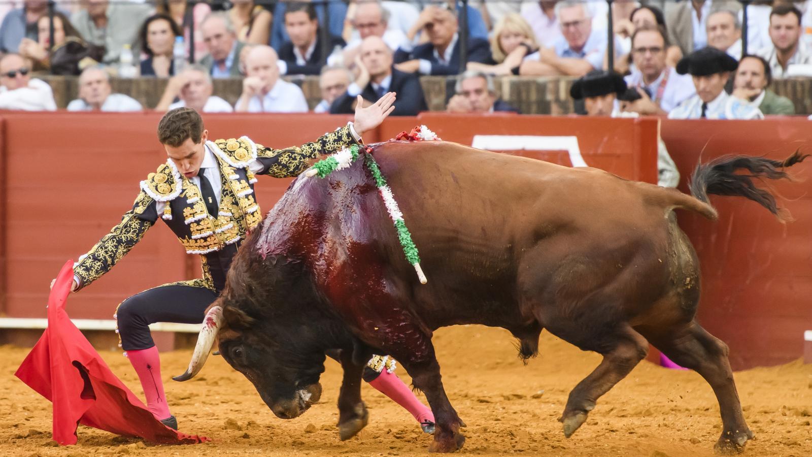 Dos orejas en Sevilla y un toro de La Palmosilla destaca en Madrid