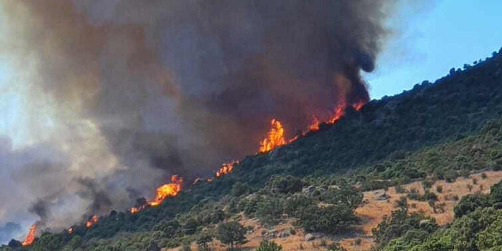 Declarado un incendio forestal en Robledo de Chavela 