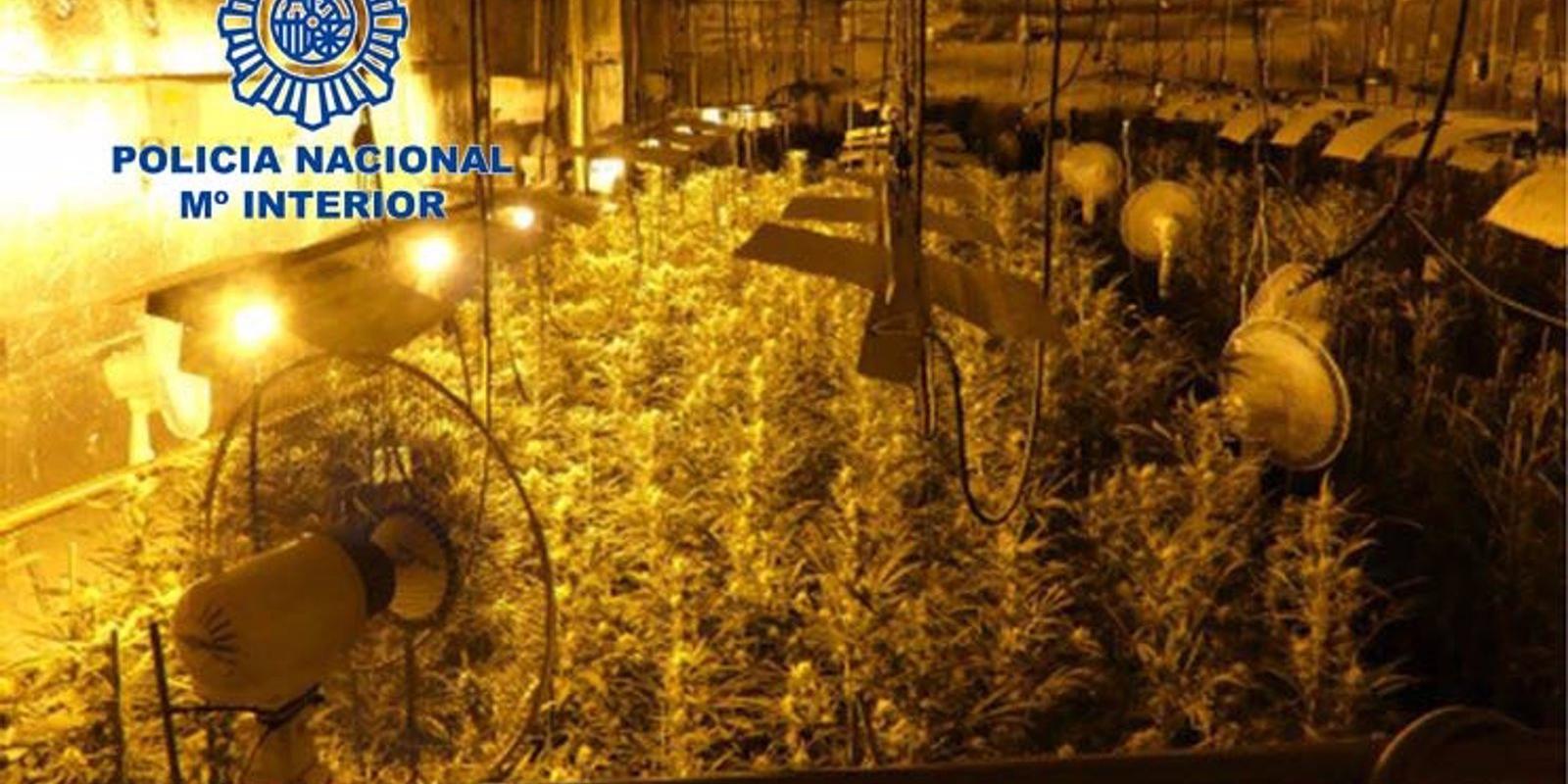 Desarticulado con 36 detenidos un grupo "especialmente violento" de venta de droga en varios puntos de España