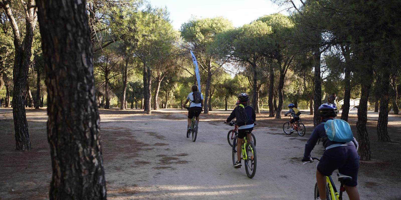 Las escuelas deportivas municipales de exterior de Las Rozas reabren tras suspender su actividad hace dos semanas