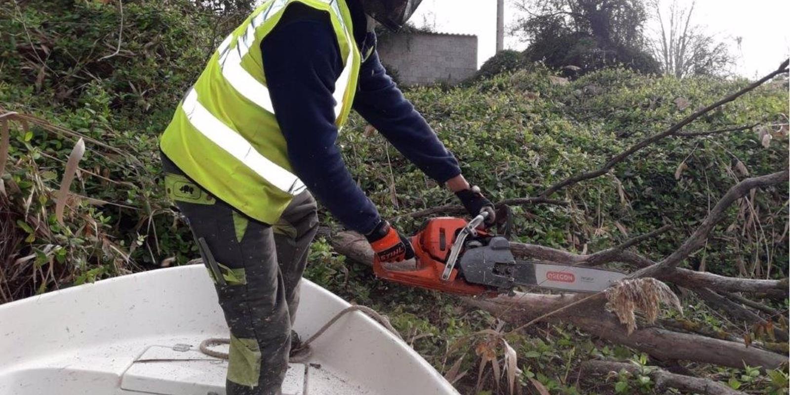 Empiezan los trabajos para retirar y eliminar vegetación en la ribera del Tajo tras el paso de 'Filomena'
