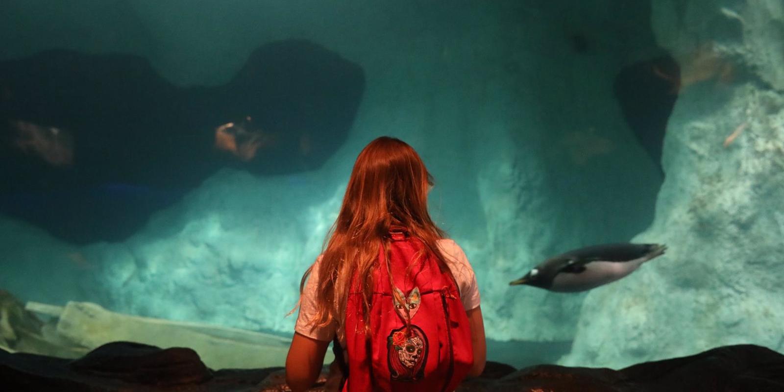 El nacimiento de un antílope y especies como la rana mono gigante, plan de ocio de Semana Santa en Faunia