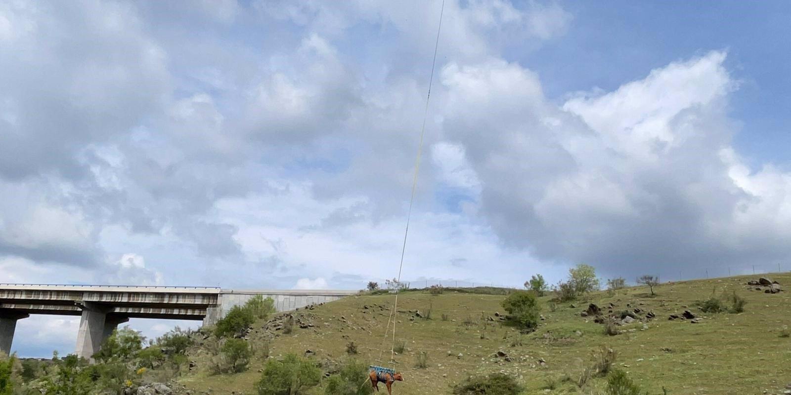 Un helicóptero del GERA rescata una vaca que cayó por un terraplén a una zona de difícil acceso en El Molar