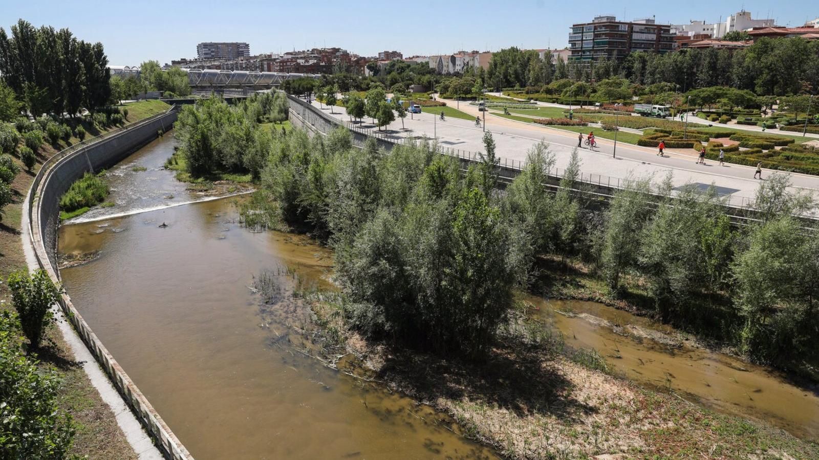 Madrid redujo en un 87% las larvas de mosca negra en el río Manzanares el año pasado