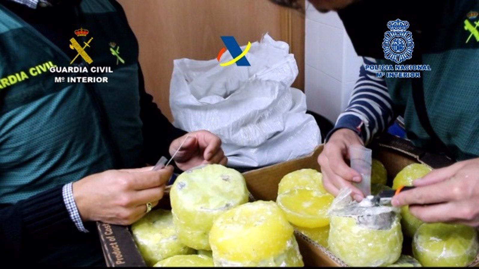Desarticulada una organización criminal que introducía cocaína dentro de piñas "preñadas"