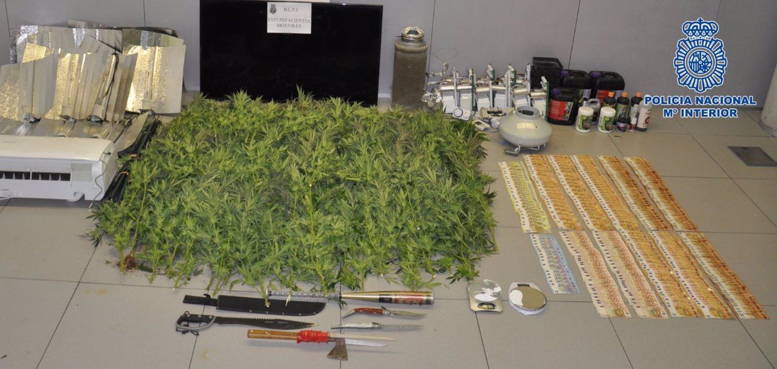 Nueve detenidos y desmanteladas dos plantaciones 'indoor' de marihuana con 126 plantas en Móstoles
