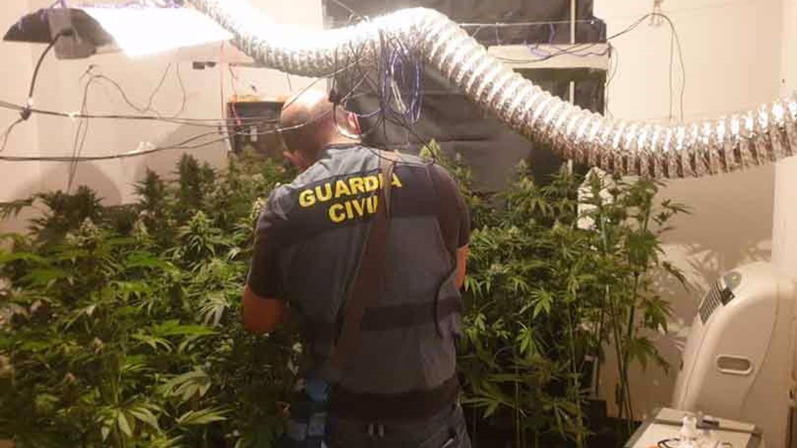 La Guardia Civil interviene más de 350 kilos de marihuana y detiene a tres personas como presuntos cabecillas