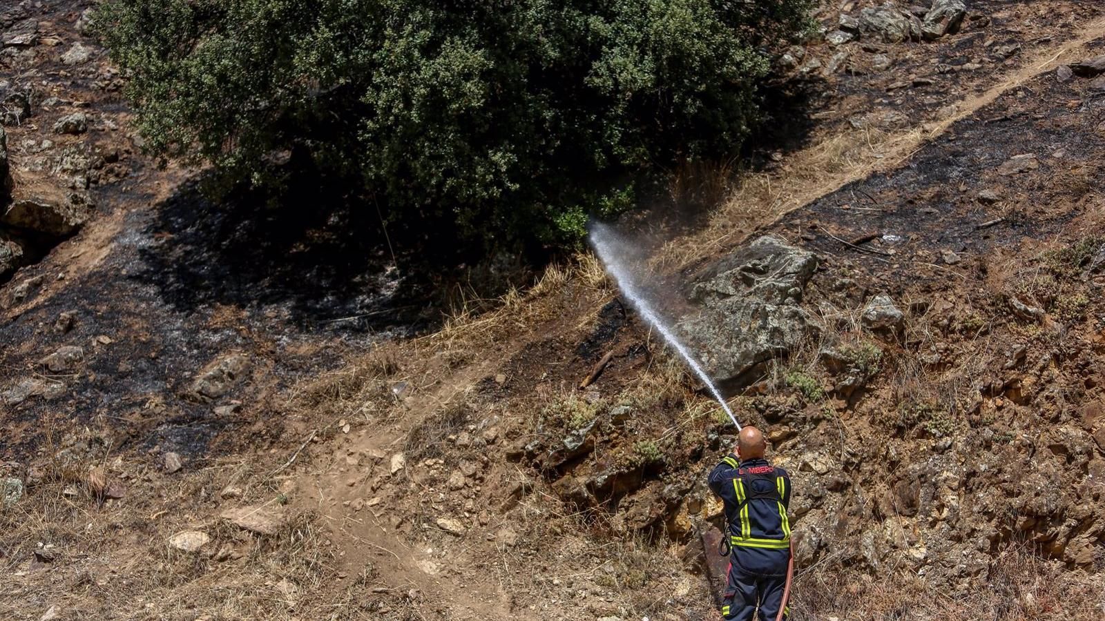 Extinguido el incendio en el pantano de San Juan, donde permanecerán dotaciones de Bomberos por precaución