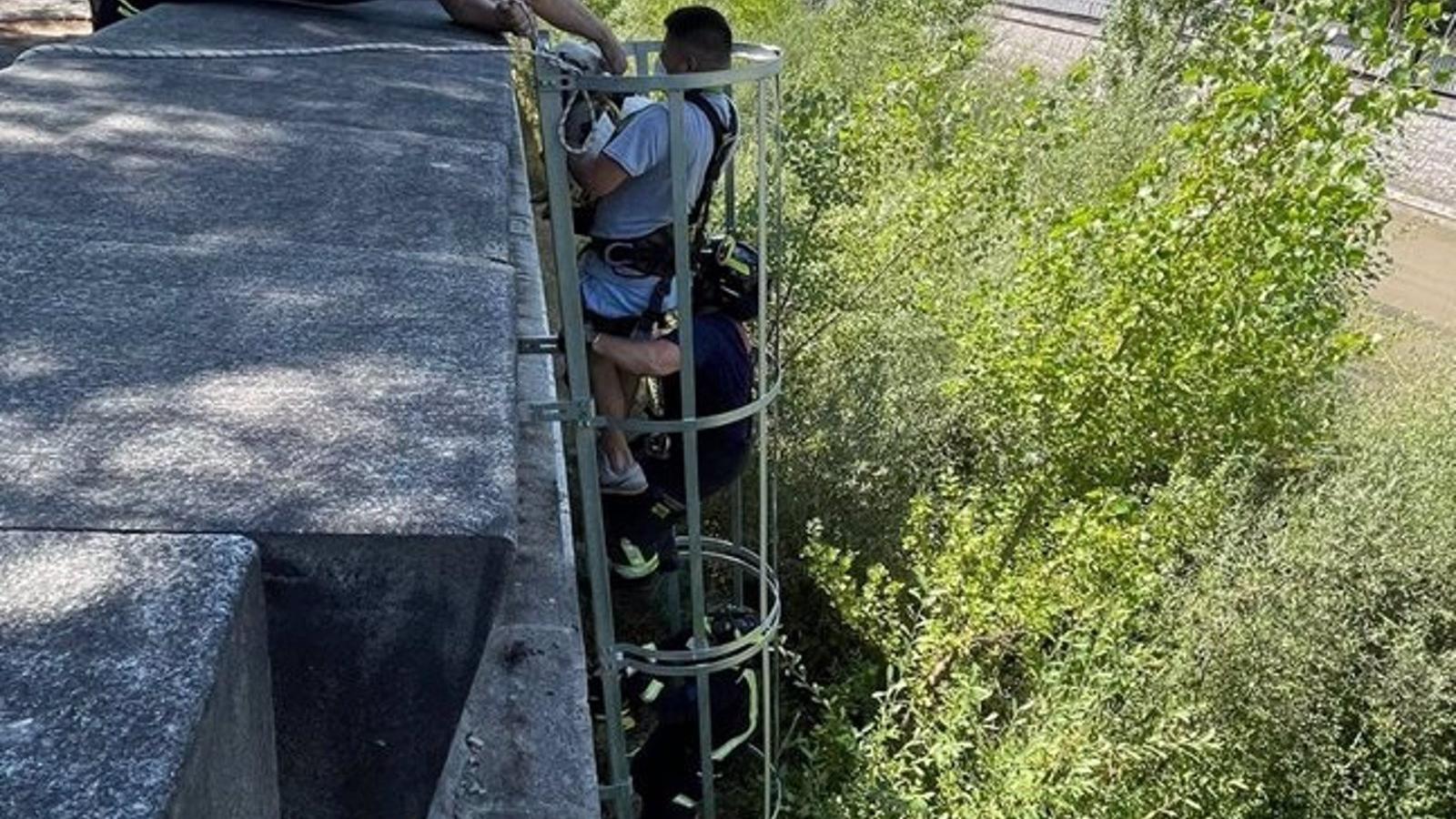 Rescatan a un perro en el puente de Andorra que había caído al río Manzanares