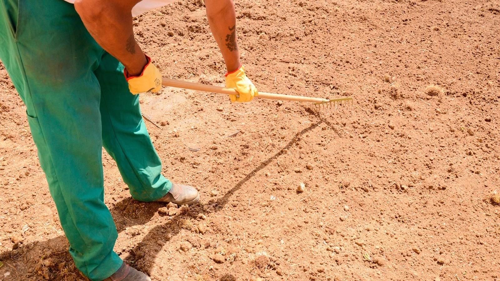 La Comunidad alojará y atenderá a mujeres reclusas y exreclusas para facilitar su reinserción laboral La Comunidad alojará y atenderá a mujeres reclusas y exreclusas para facilitar su reinserción laboral
