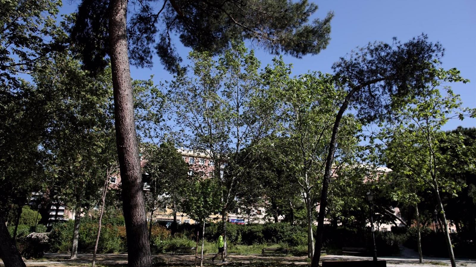 El PSOE pide un Plan Extraordinario contra incendios en los grandes parques de Madrid