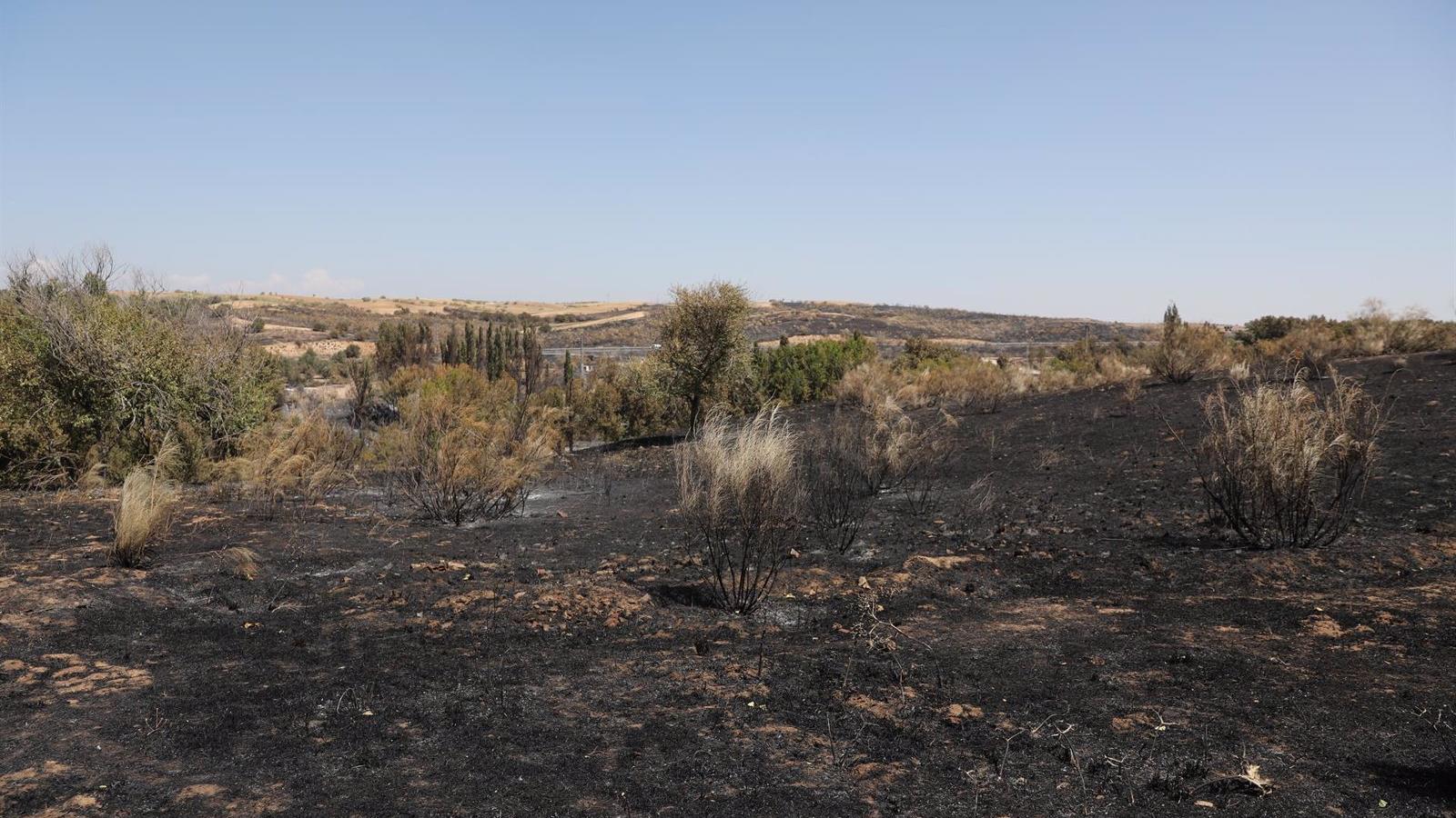 Extinguido el incendio forestal de Batres cinco días después de su inicio