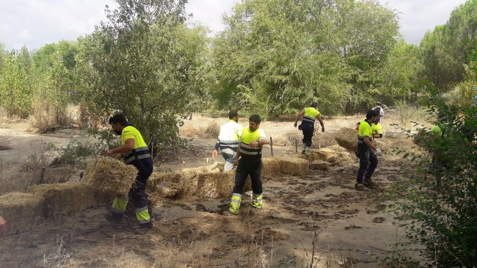 La Comunidad coloca en Batres balas de paja cerca del cauce del río de Guadarrama para evitar su contaminación por cenizas