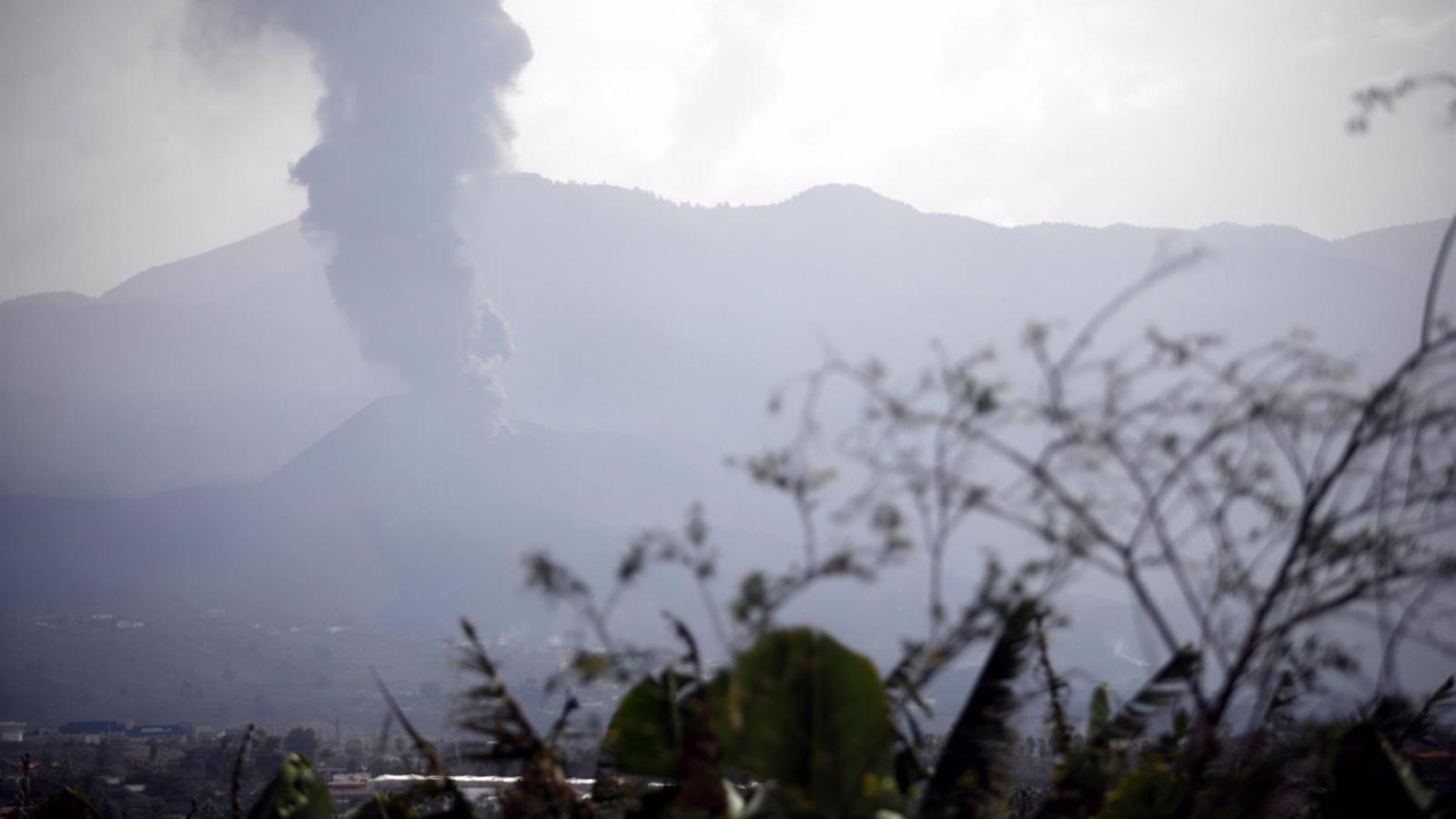 Torrejón dona 6.000 euros a los afectados por el volcán de La Palma