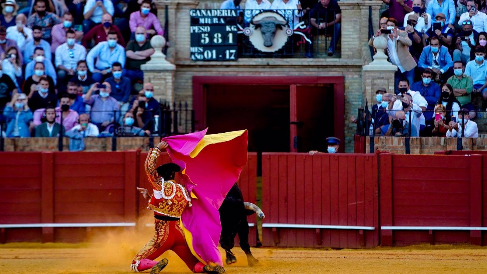 La Fundación Toro de Lidia, sobre la exclusión de los toros del bono cultural joven: "Un escándalo de dimensiones cósmicas"