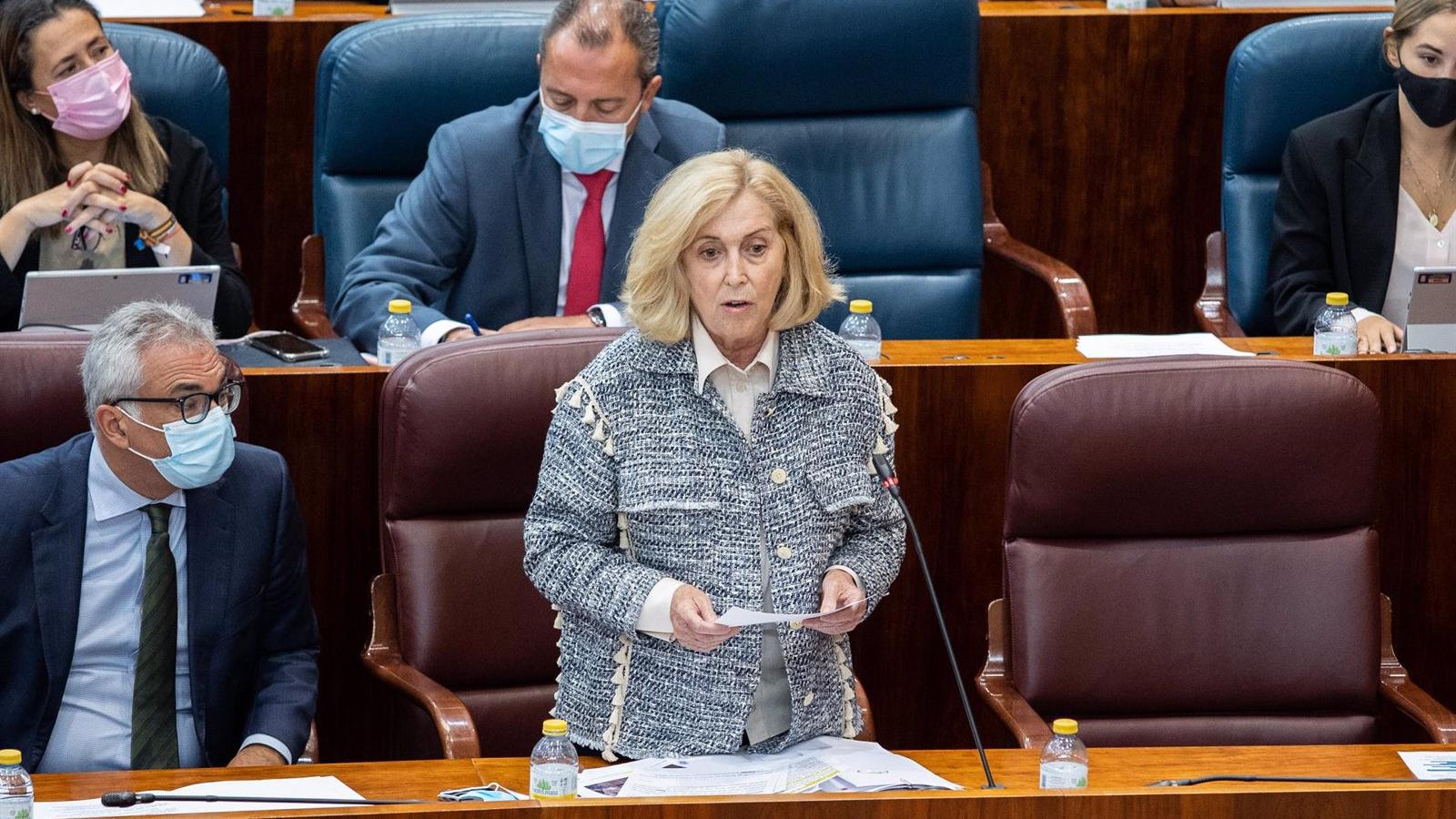 Dancausa dará explicaciones sobre el caso de las menores tuteladas en el próximo Pleno del 3 de febrero Dancausa dará explicaciones sobre el caso de las menores tuteladas en el próximo Pleno del 3 de febrero