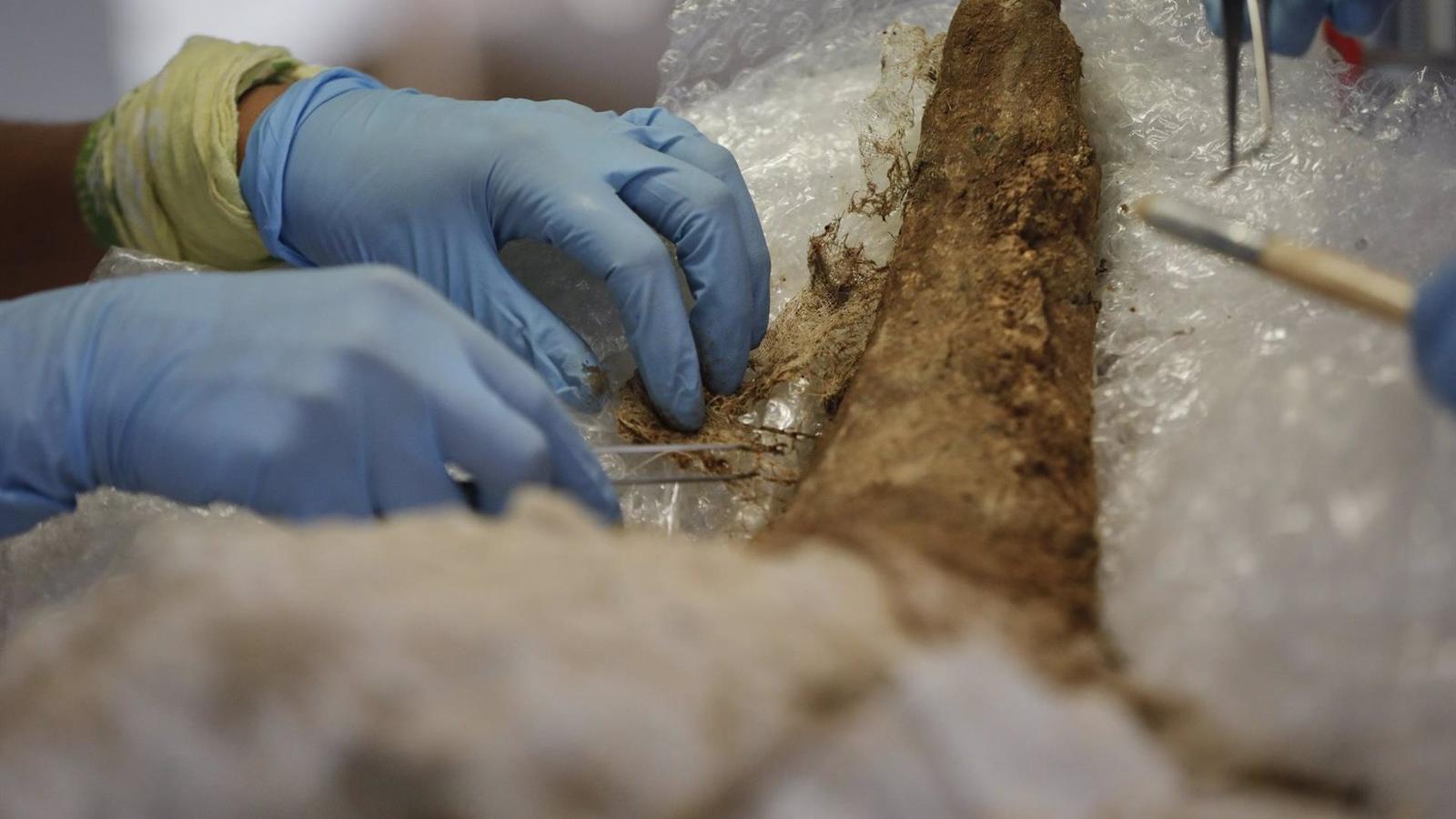 Díaz Ayuso asistirá a la colocación de la primera piedra del Museo de los Neandertales en Pinilla del Valle