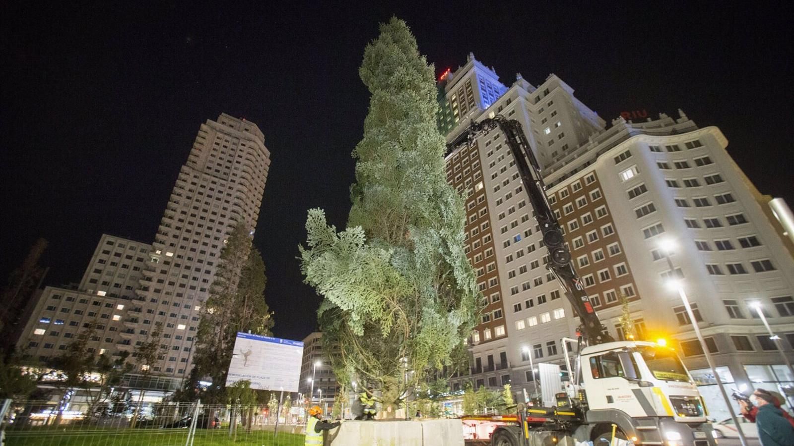 El abeto de 18 metros de Plaza España &quot;iluminará la Navidad&quot; madrileña con 1.800 metros de luces y 800 bolas