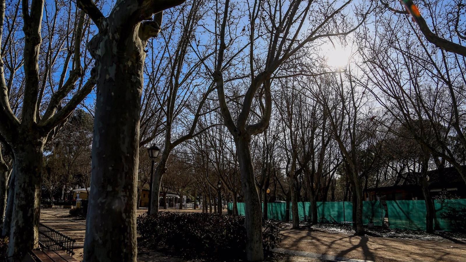 Un joven apuñala en la cara a un hombre para robarle un móvil en la Casa de Campo