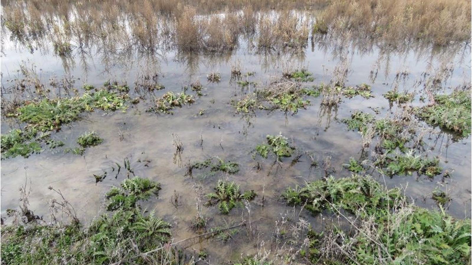 Ecologistas denuncian un vertido químico en una parcela agrícola en Valdemoro