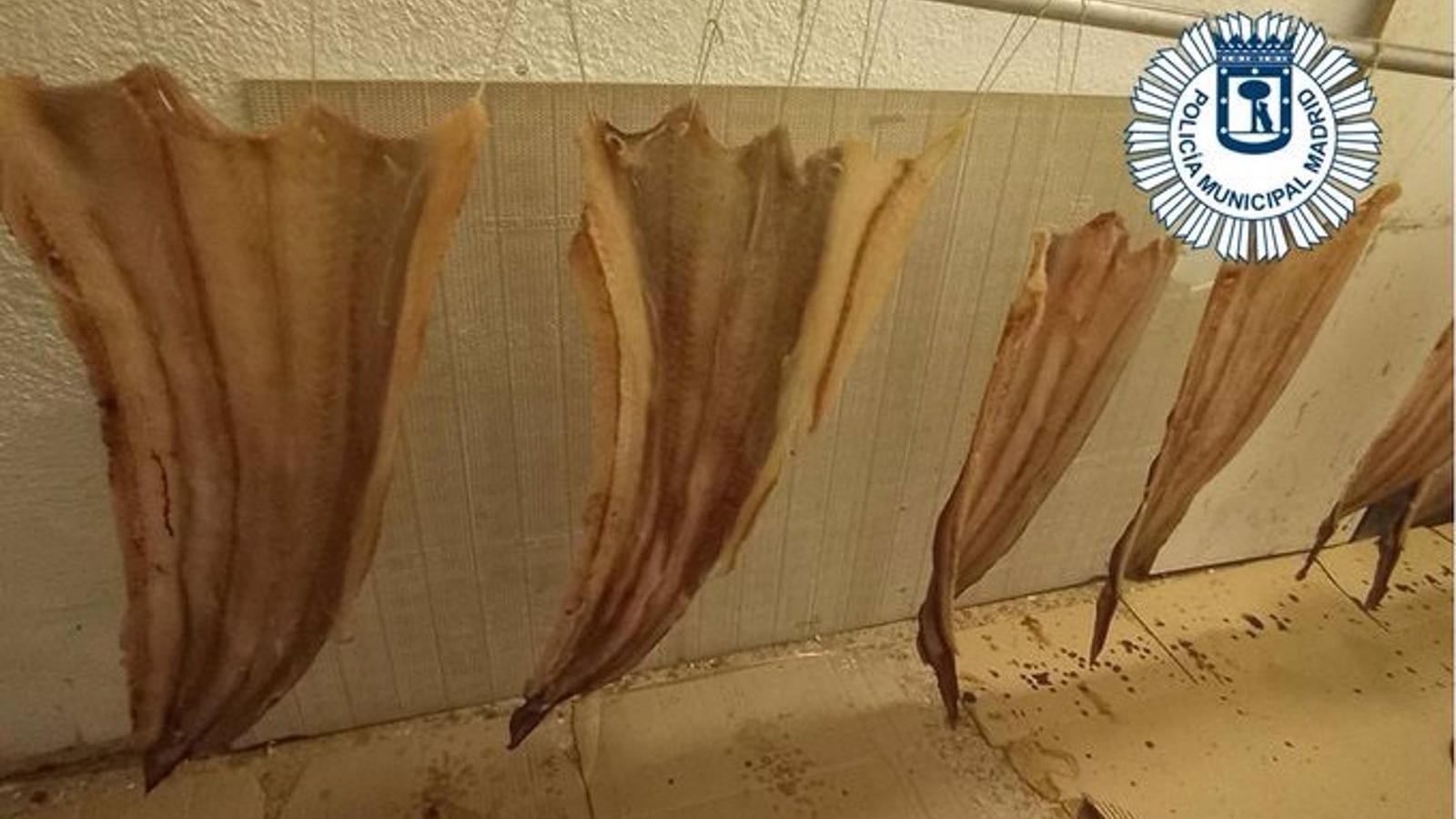 Intervenidos alimentos caducados y sin etiquetado en un bazar de Carabanchel