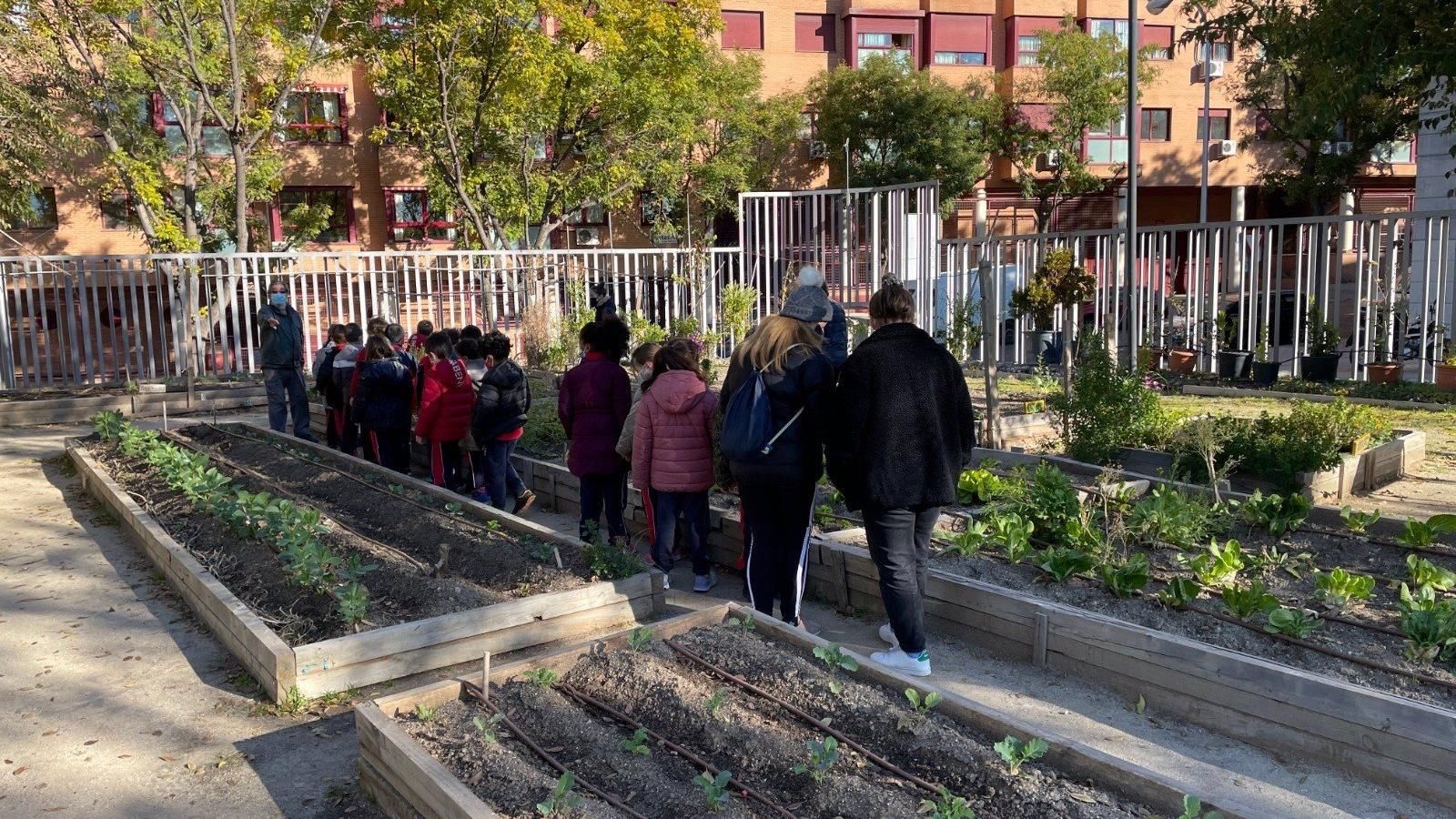 Vecinos de Arganzuela recurrirán a la Justicia el desalojo del huerto urbano Las Vías pese a quedar un año de cesión