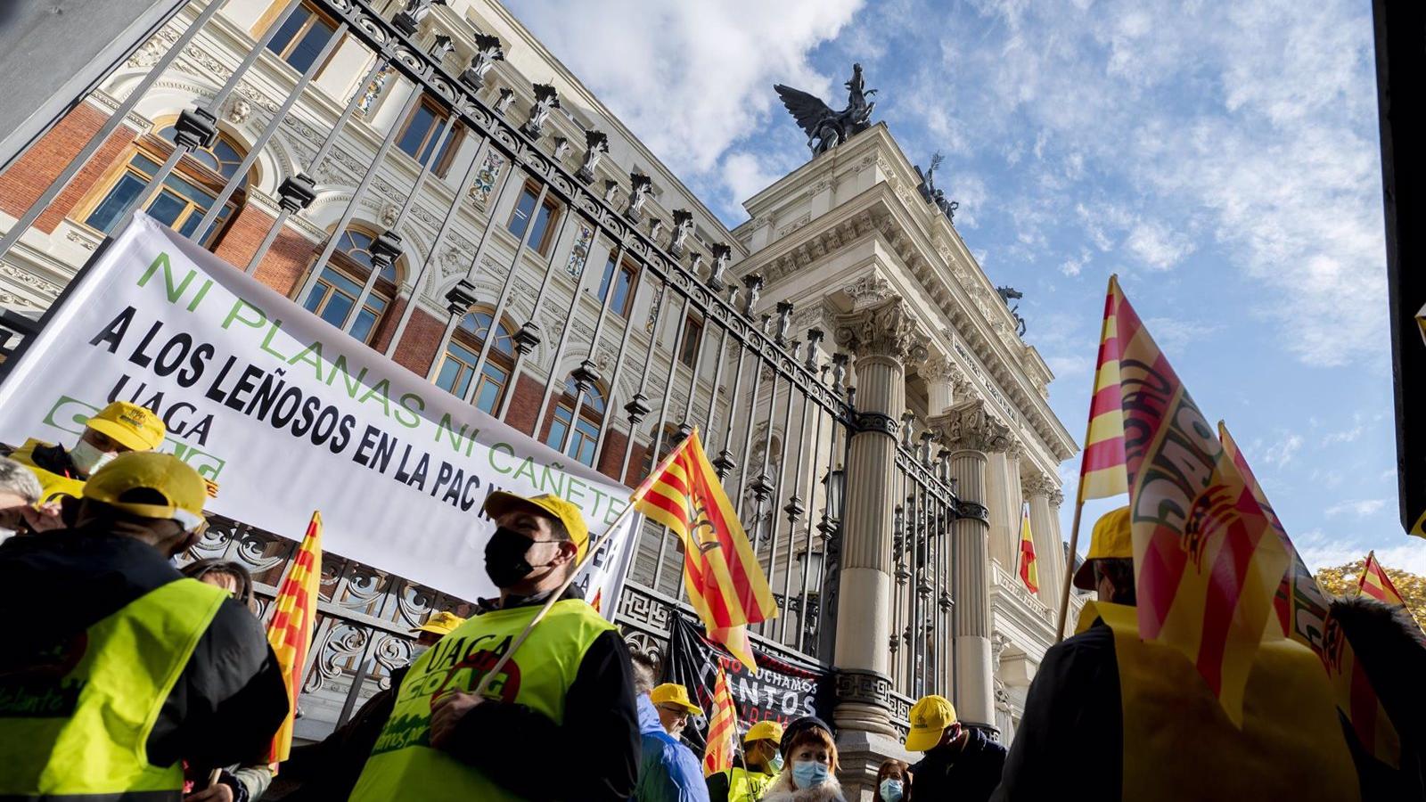 Agricultores y ganaderos se manifestarán el 15 de marzo ante el Ministerio de Agricultura por la crisis del campo