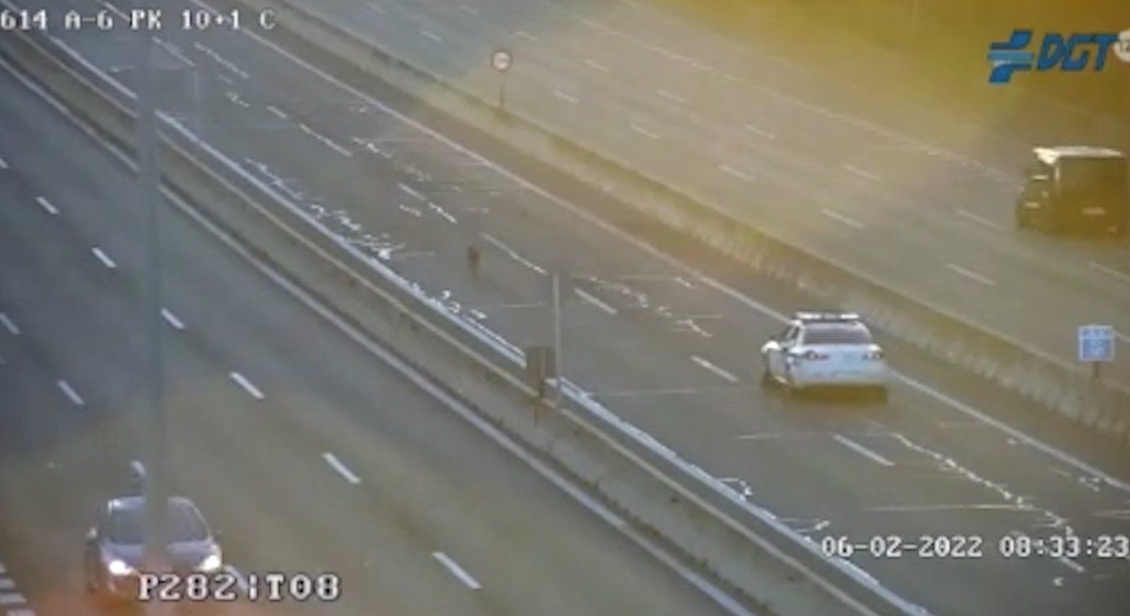 La Guardia Civil rescata una galga extraviada que corría por el bus VAO de la A-6