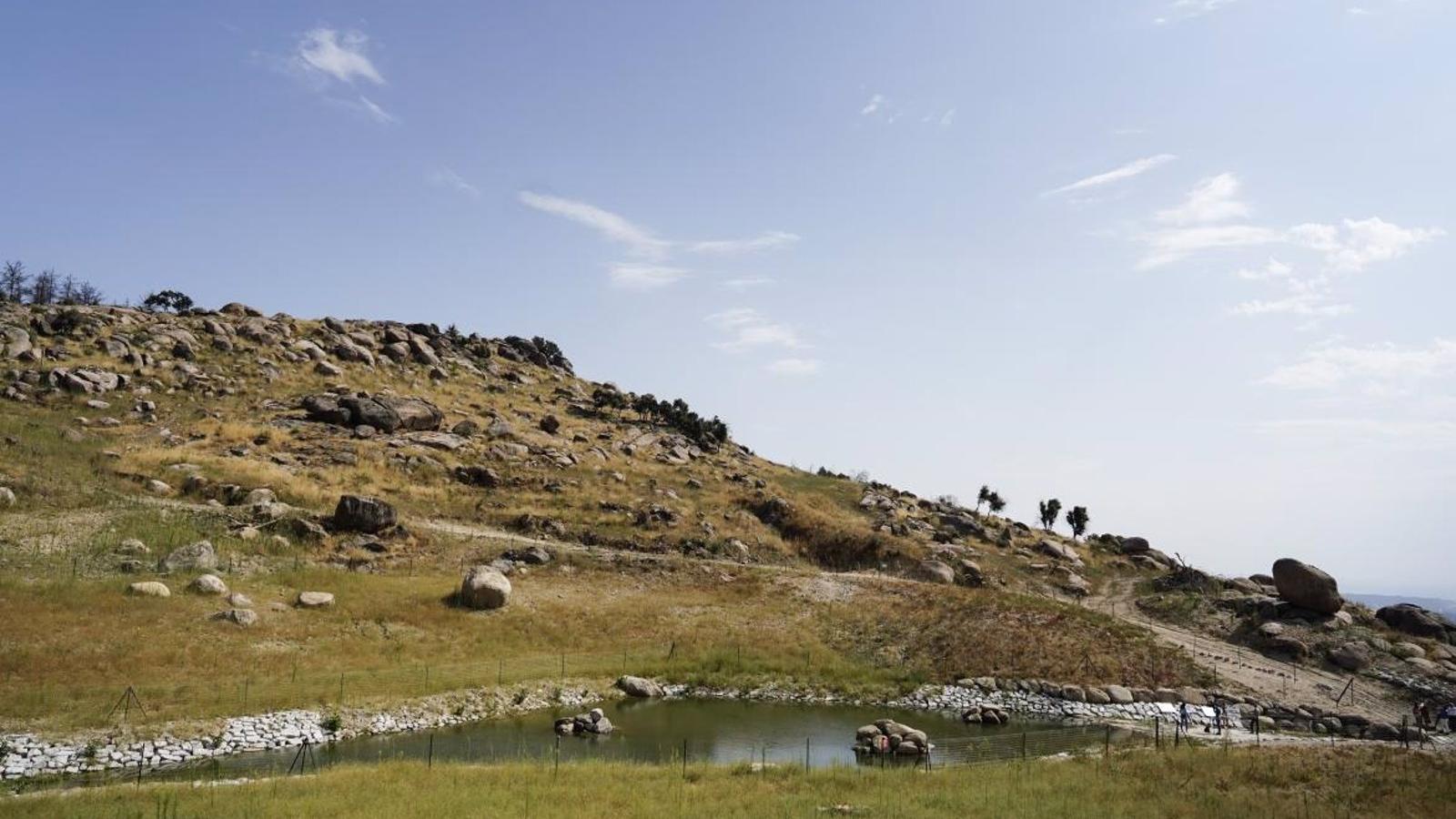La antigua presa de La Alberca dispone de la mayor charca de anfibios europea tras su rehabilitación