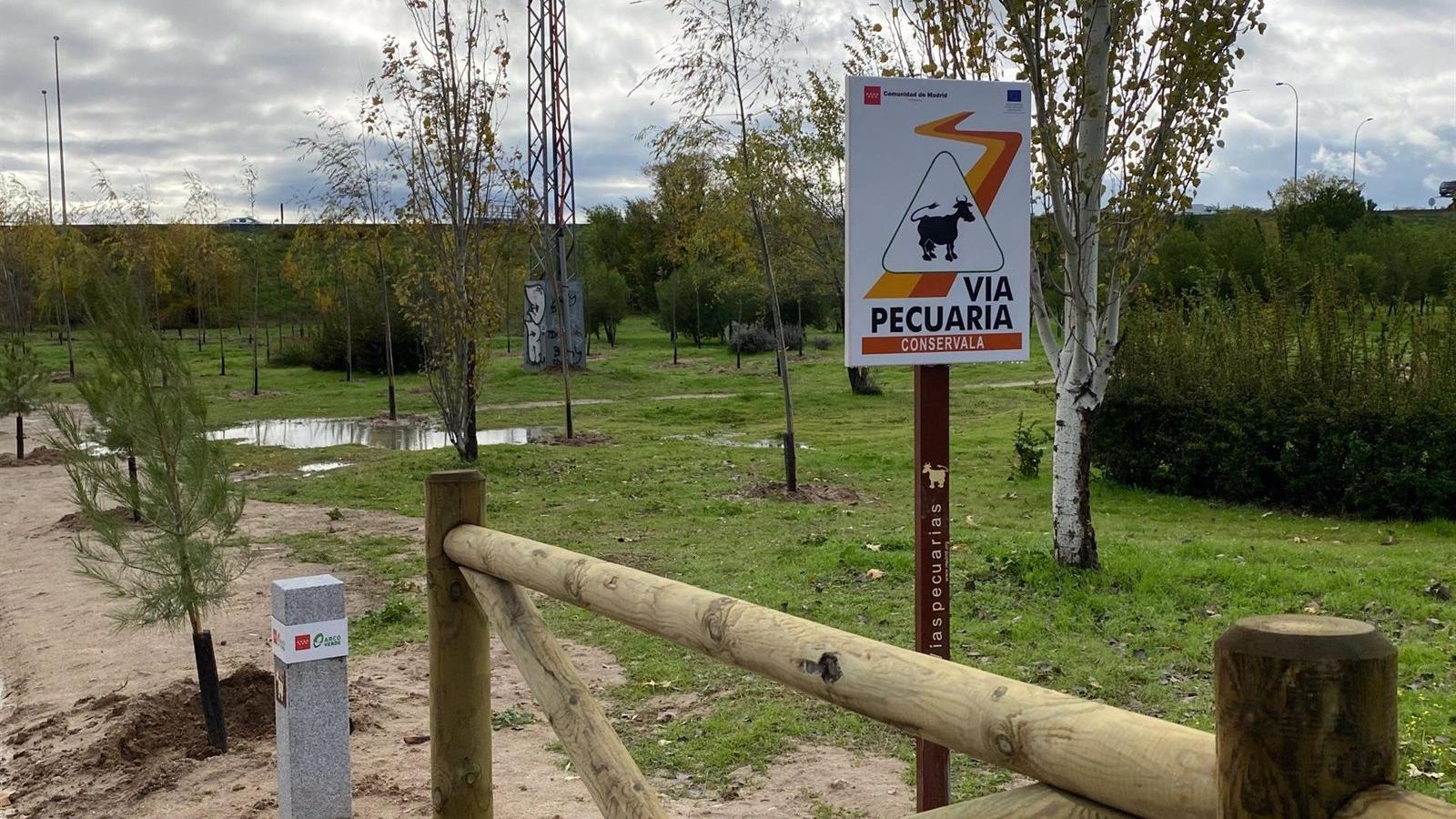 El Arco Verde de la Comunidad de Madrid supera los 72.000 árboles y arbustos plantados