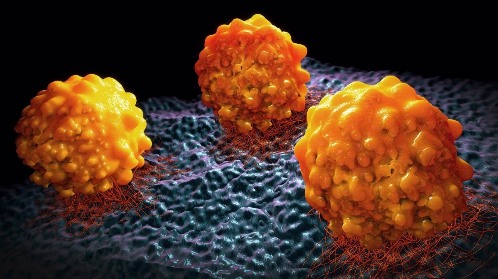 Entra en fase de ensayo clínico un proyecto de investigación contra el cáncer de páncreas de IMDEA Nanociencia