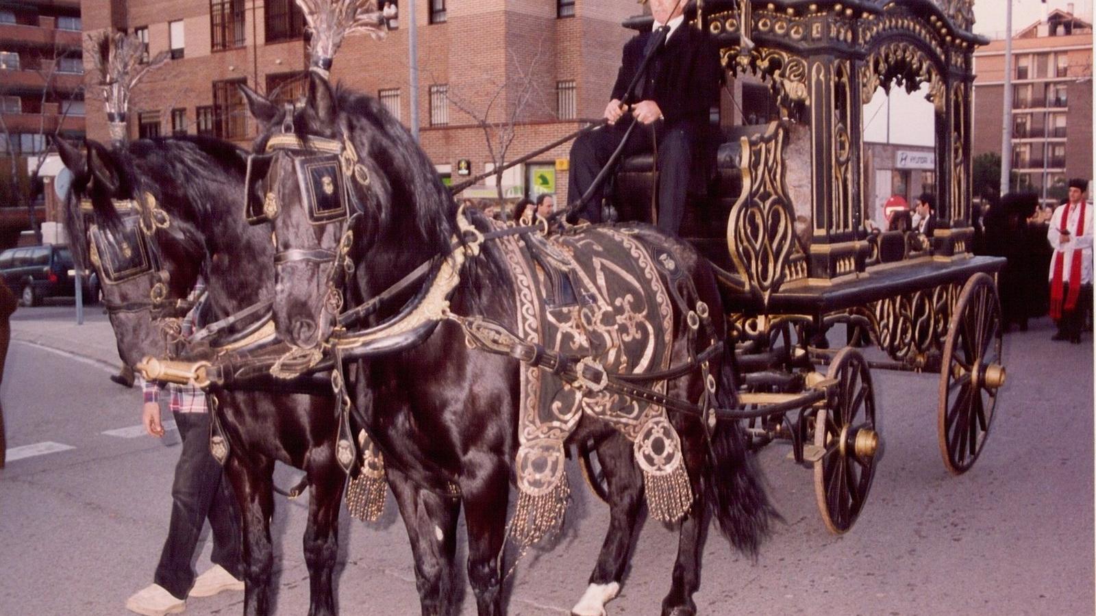 PACMA pide al Ayuntamiento de Tres Cantos que cancele el desfile de caballos de las fiestas por el bienestar animal