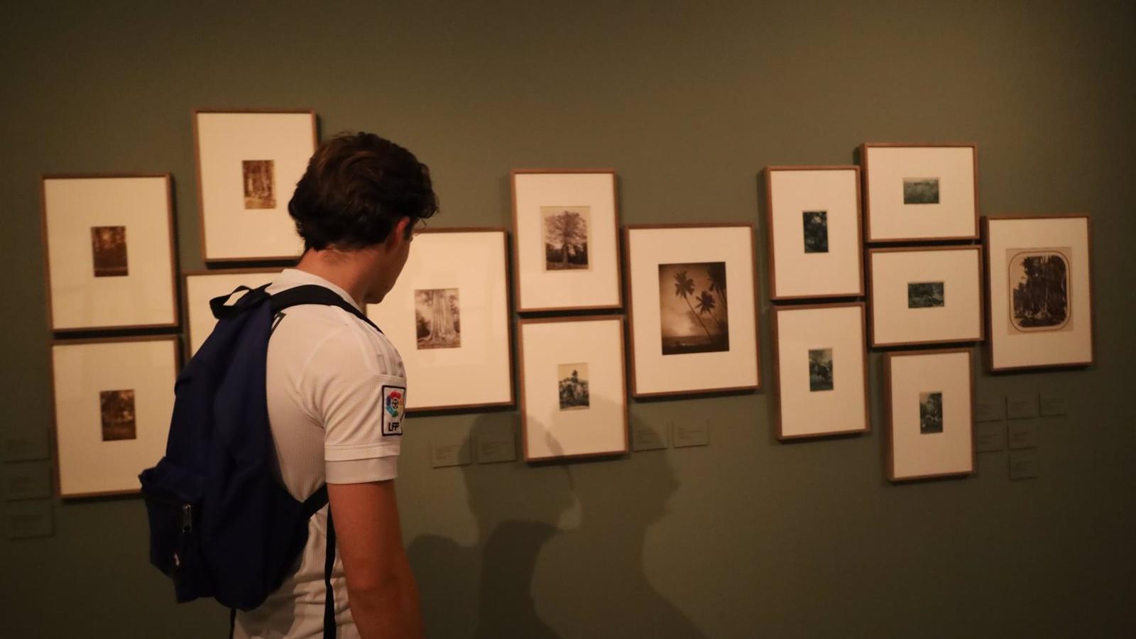 Más de 50.000 personas han visitado la exposición de Sebastião Salgado de Colecciones Reales en el Palacio Real