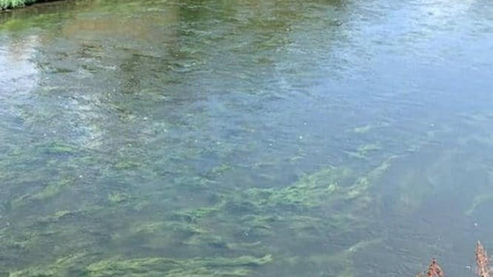 Avisan de cuatro puntos de vertidos incontrolados de aguas residuales al río Manzanares en Perales del Río Avisan de cuatro puntos de vertidos incontrolados de aguas residuales al río Manzanares en Perales del Río
