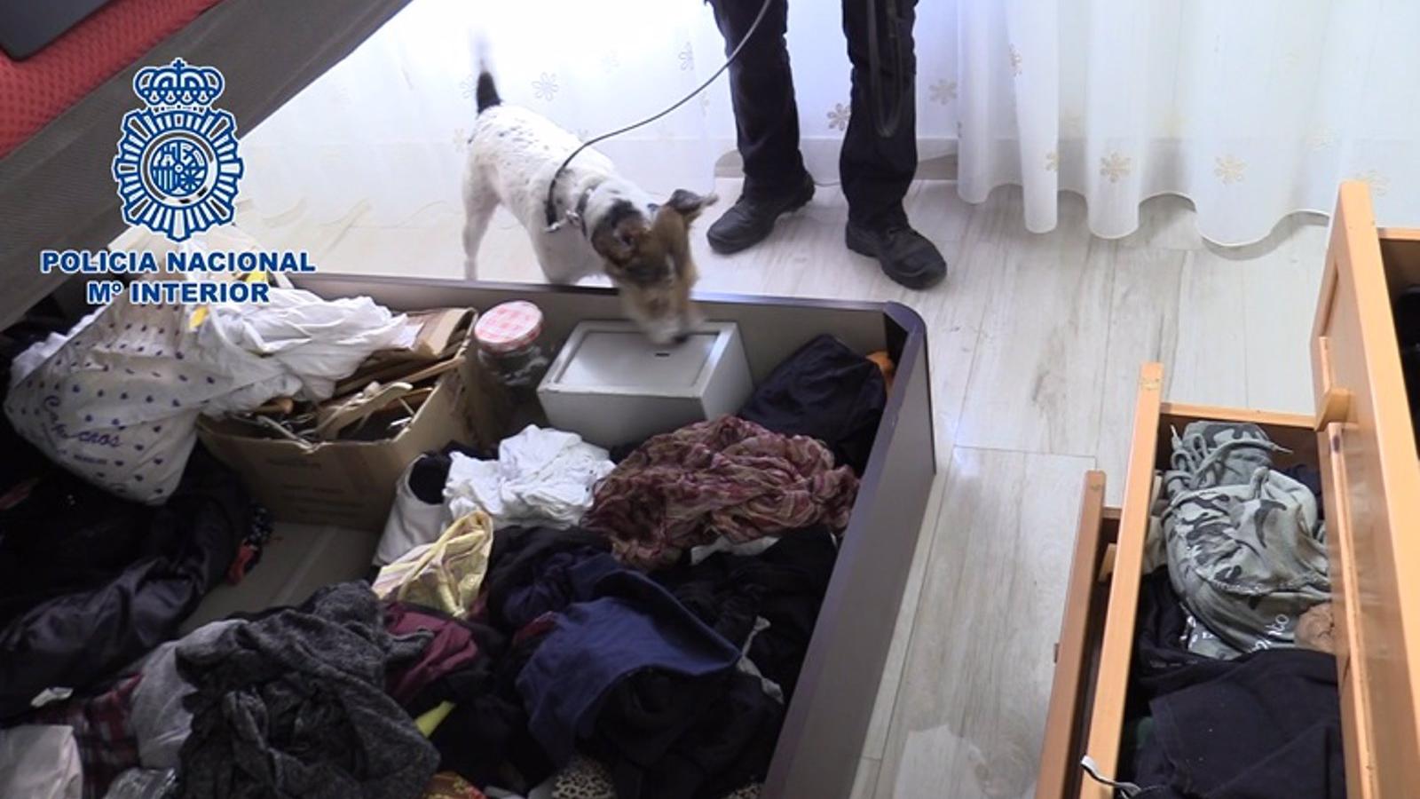 Detenida una mujer que regentaba un narcopiso en Puente de Vallecas abierto 24 horas Detenida una mujer que regentaba un narcopiso en Puente de Vallecas abierto 24 horas